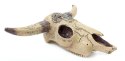 Ozdoba akwariowa Happet R110 czaszka bizona 12 cm
