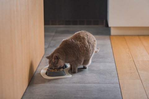 Mata 43x22cm pod miski CZARNA FIBOO