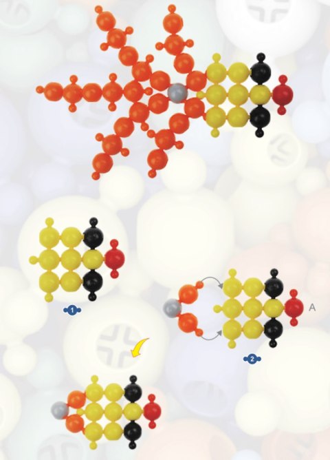 Klocki Loowi - Zestaw 40 el.