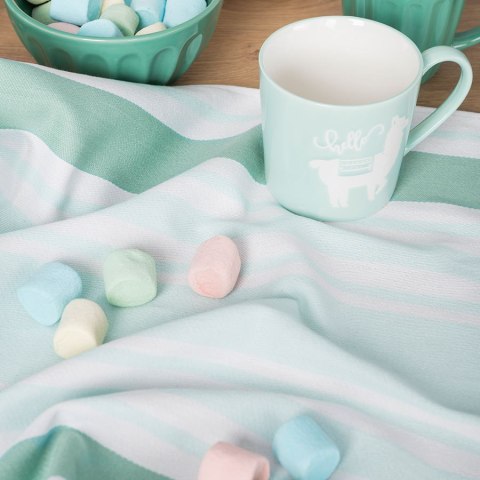 ŚCIERKA S S00006/SCI/004/50X70 LINEA miętowy