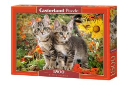 Puzzle 1500 el. Kitten Buddies