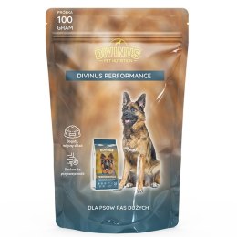 PRÓBKA Divinus Performance dla psów aktywnych 60g