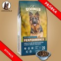 PRÓBKA Divinus Performance dla psów aktywnych 60g