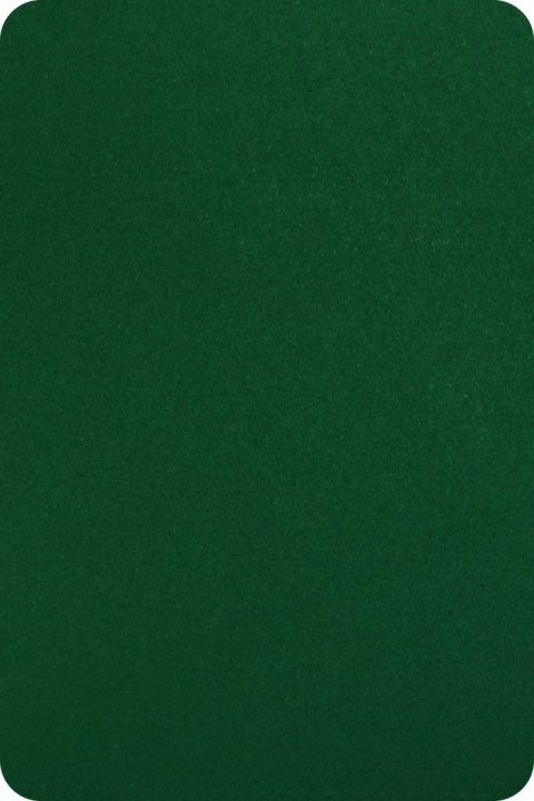 Taśma ogrodzeniowa 26mb Thermoplast® BASIC 190 mm ZIELONA