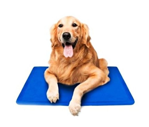 ŻELOWA MATA CHŁODZĄCA 52x52 cm DLA ZWIERZĄT PSÓW