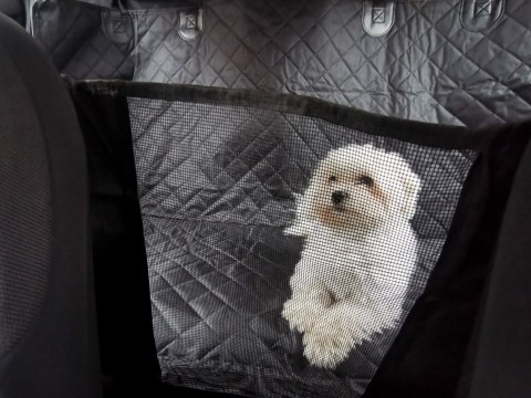 Mata dla psa do samochodu na siedzenie wodoodporna czarna