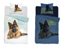 Pościel świecąca w ciemności 140x200 owczarek niemiecki 4023 A bawełniana Fluo 133
