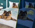 Pościel świecąca w ciemności 140x200 owczarek niemiecki 4023 A bawełniana Fluo 133