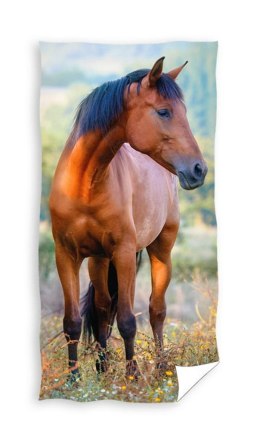 Ręczniczek do przedszkola 30x50 Koń dziecięcy Babies