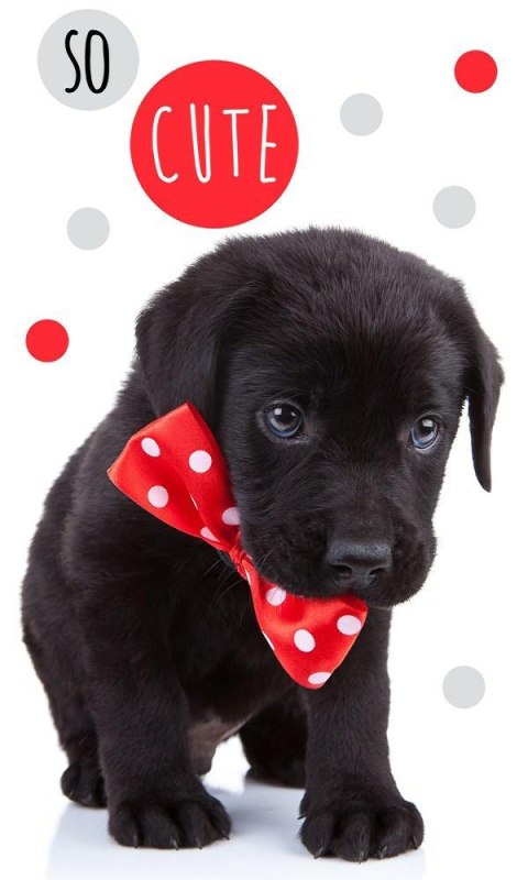 Ręczniczek do przedszkola 30x50 Pies dziecięcy Babies