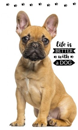 Ręczniczek do przedszkola 30x50 Piesek dziecięcy Babies