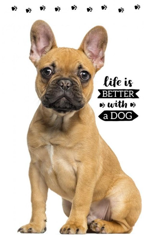 Ręczniczek do przedszkola 30x50 Piesek dziecięcy Babies