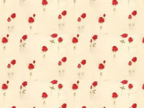 Poszewka bawełniana 40x40 kwiatki różyczki kremowa czerwona 119N Classic