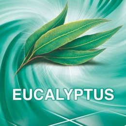 Ajax Eucalyptus Uniwersalny Środek Czyszczący 1,25 l