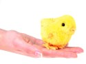 Nakręcany żółty KURCZACZEK - tuptający wielkanocny kurczak ZA4993