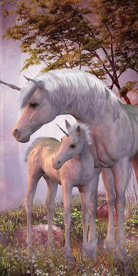 Ręcznik plażowy 70x140 Jednorożce 028 bawełniany frotte młodzieżowy Faro 2022