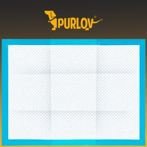 Podkład higieniczny chłonny- 100szt. + woreczki