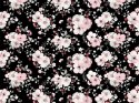 Poszewka bawełniana 50x60 kwiaty czarna różowa 1476N Classic