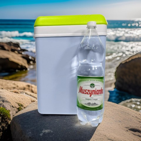 Lodówka turystyczna pasywna KAMAI 15L na wkłady SZARA