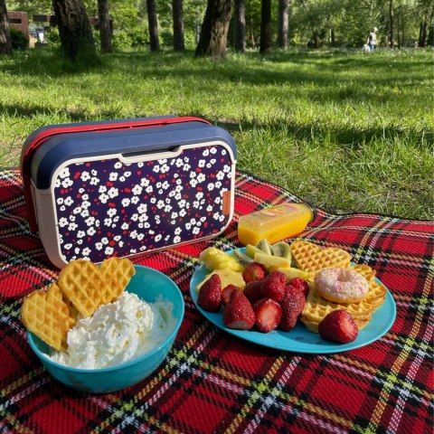 Lunchbox, lodówka turystyczna 5L Głęboki, kwiat wiśni 32,6x20x18,8cm