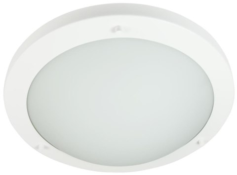 Aquila plafon 31 10W LED 6500K biały IP44