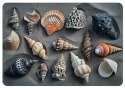 Podkładka na biurko Shells 50x70 cm