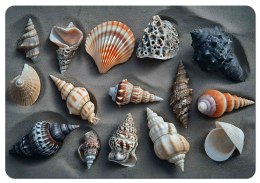 Podkładka na biurko Shells 50x70 cm