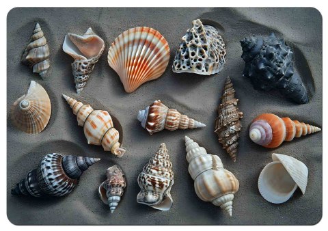 Podkładka na biurko Shells 50x70 cm