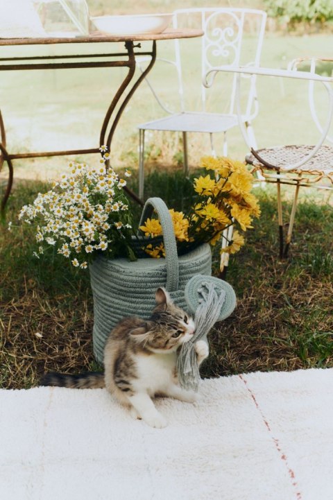 Kosz dekoracyjny Konewka, Farm, Lorena Canals