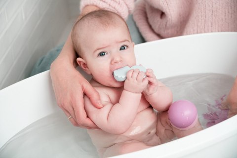 Magimals - magnetyczne zwierzątka - Sealife