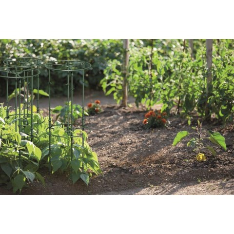 PODPORA DO ROŚLIN FLOO SUPPORTS - ZIELONY LEŚNY