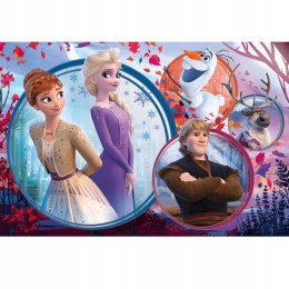 Puzzle Kraina Lodu 160 el. Siostrzana przygoda Frozen Trefl 15374