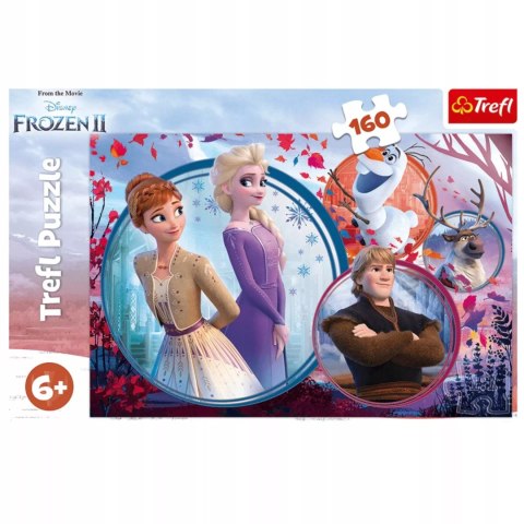 Puzzle Kraina Lodu 160 el. Siostrzana przygoda Frozen Trefl 15374