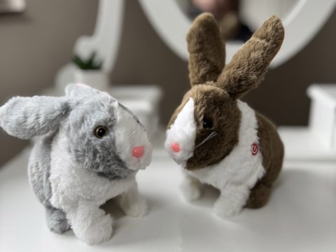 Interaktywny zwierzaczek chrupaczek Kicający Królik + marchewka ZA2685