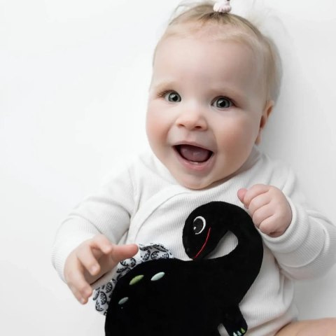 Dinozaur - szeleszcząca szmatka kontrastowa