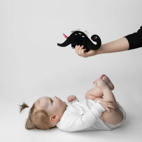 Dinozaur - szeleszcząca szmatka kontrastowa