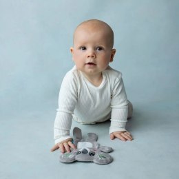 Koala - szeleszcząca szmatka