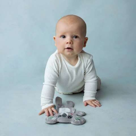 Koala - szeleszcząca szmatka