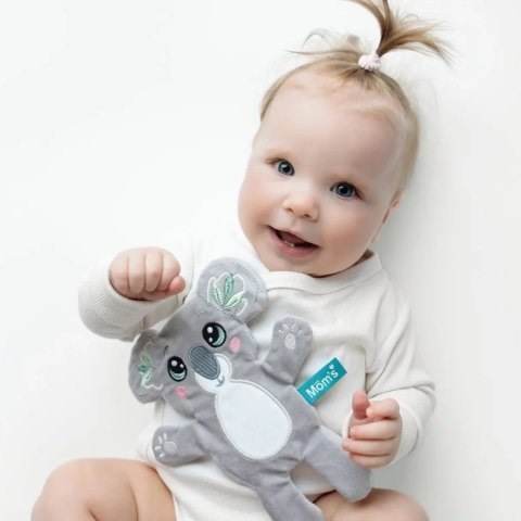 Koala - szeleszcząca szmatka