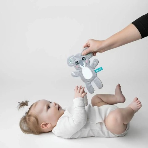 Koala - szeleszcząca szmatka