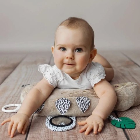 Leniwiec - poduszka aktywizująca