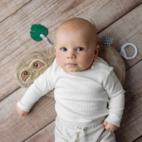 Leniwiec - poduszka aktywizująca