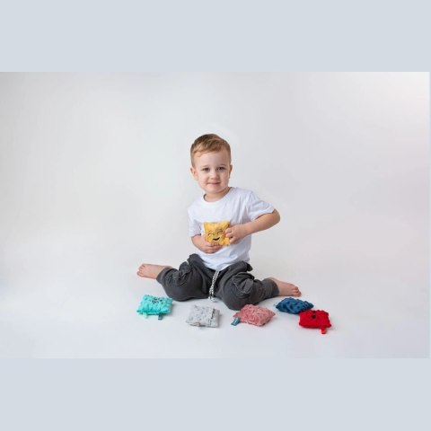 Woreczki Sensoryczne Emocje