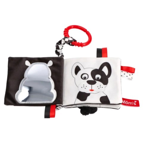 Książeczka Kto to? Co to?