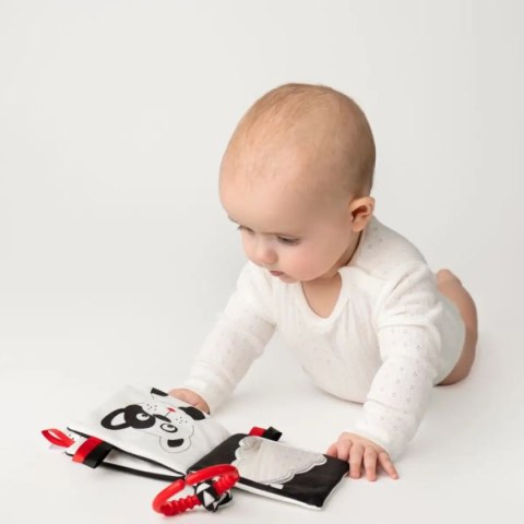 Książeczka Kto to? Co to?