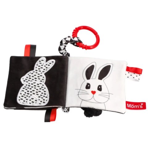 Książeczka Kto to? Co to?