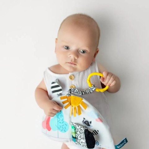 Książeczka sensoryczna - Szop Pedro