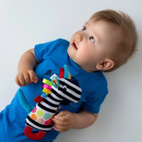 Piszczek z gryzakiem - Tymek