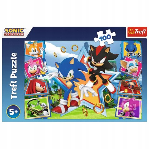 Puzzle Sonic 100 elementów Poznaj Sonica Trefl 16465