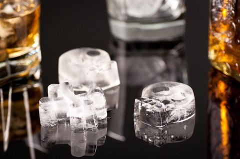 Foremka lodowa - KOŚCI